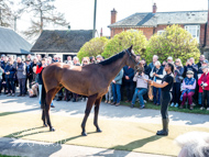 NH220326-31 - Thewoodcorner